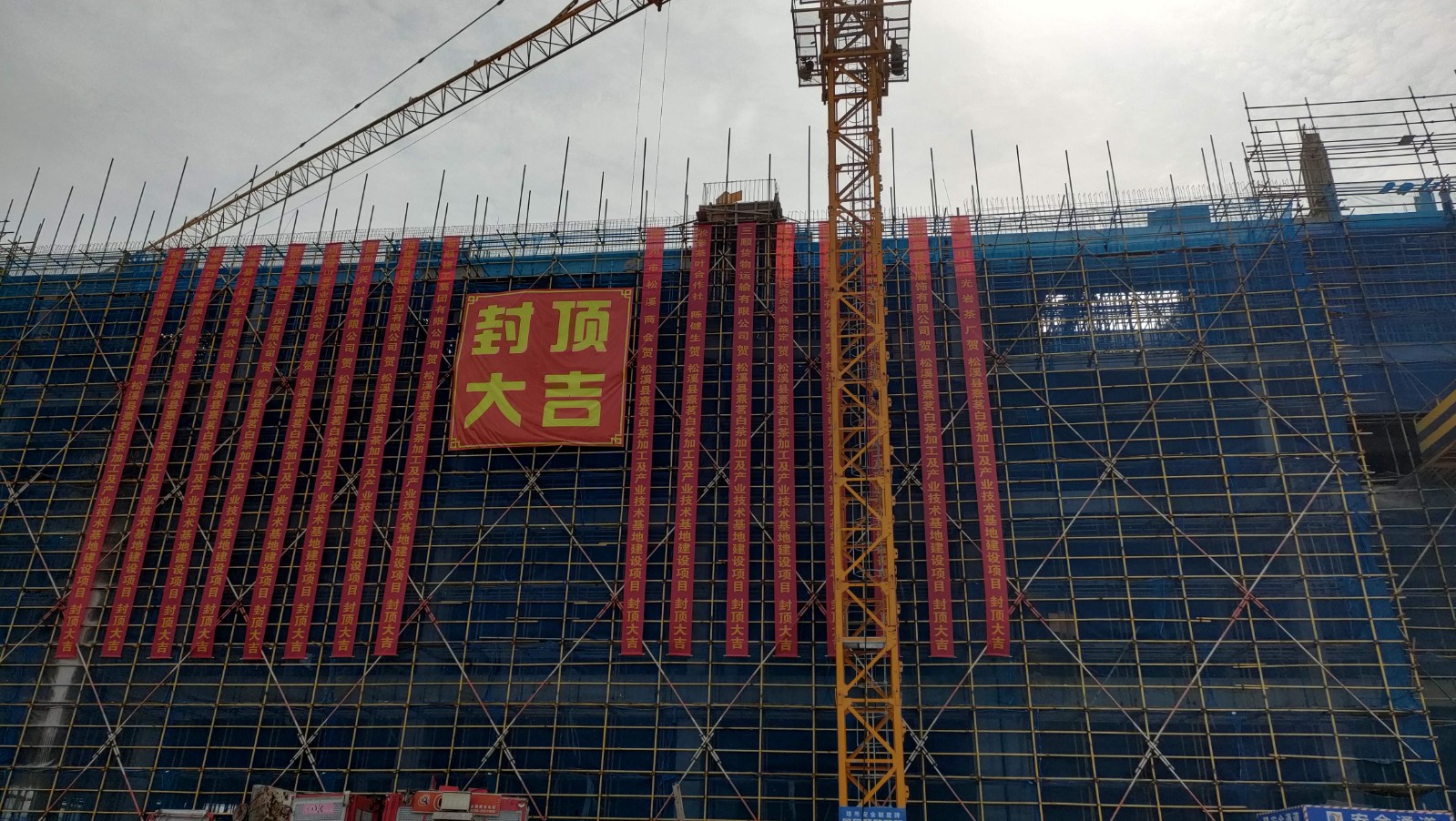 易順建工集團(tuán)有限公司承建的熹茗白茶加工及產(chǎn)業(yè)技術(shù)基地建設(shè)項目一期工程順利封頂!