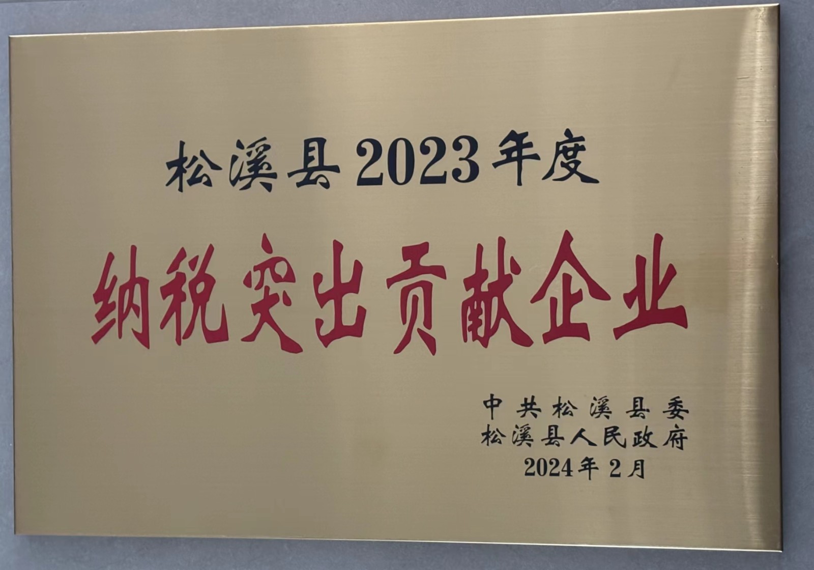 喜報!易順建工集團(tuán)榮獲“松溪縣2023年度納稅突出貢獻(xiàn)企業(yè)”稱號
